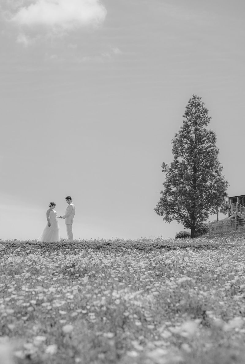 花さじきロケーション撮影