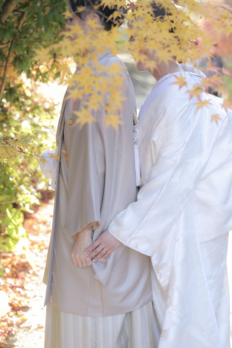 今年も紅葉撮影に行ってきました