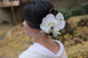 和装 Hairmake
