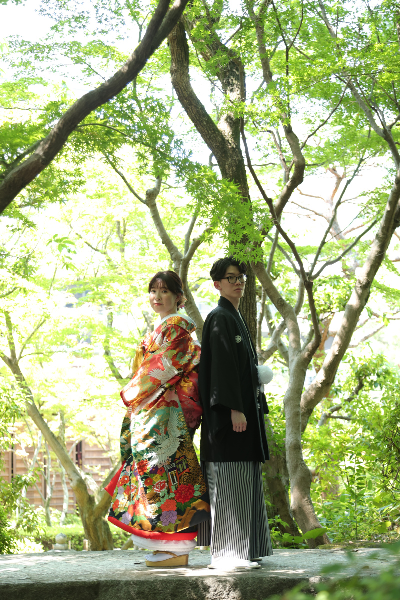 新緑の日本庭園
