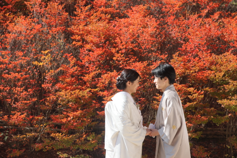 2025紅葉撮影◎