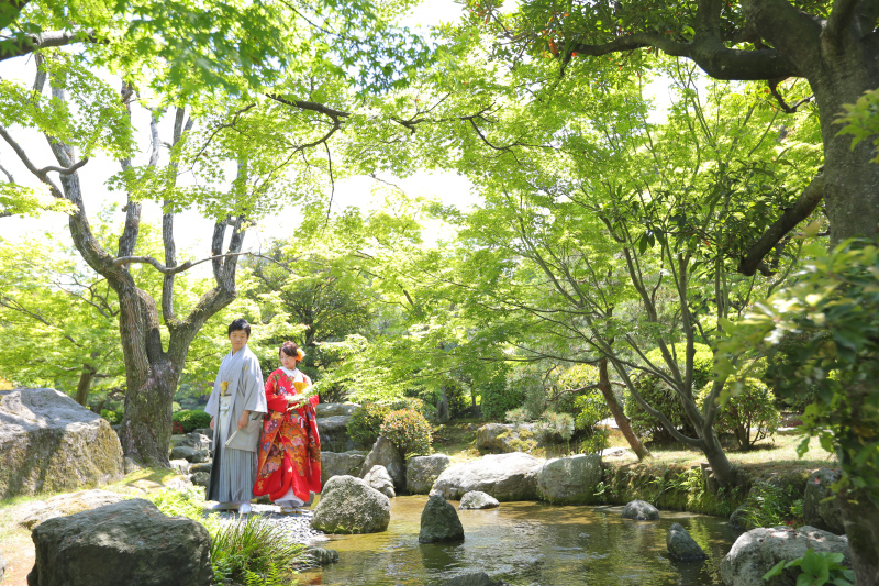 5月撮影オススメです！