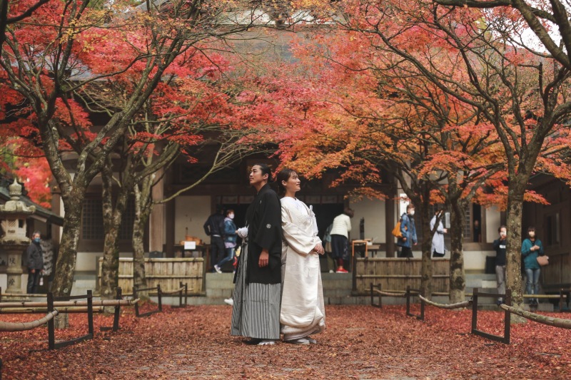 紅葉満喫ロケ