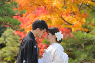 紅葉ロケーション