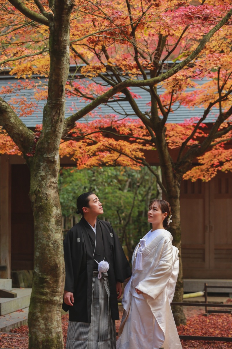 紅葉満喫ロケ