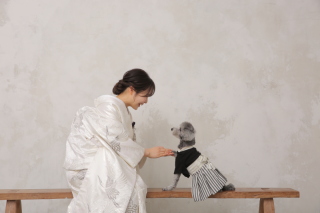 わんちゃんと撮影