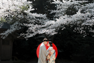 和装も洋装も満喫コース 【糸島和洋ロケーション】