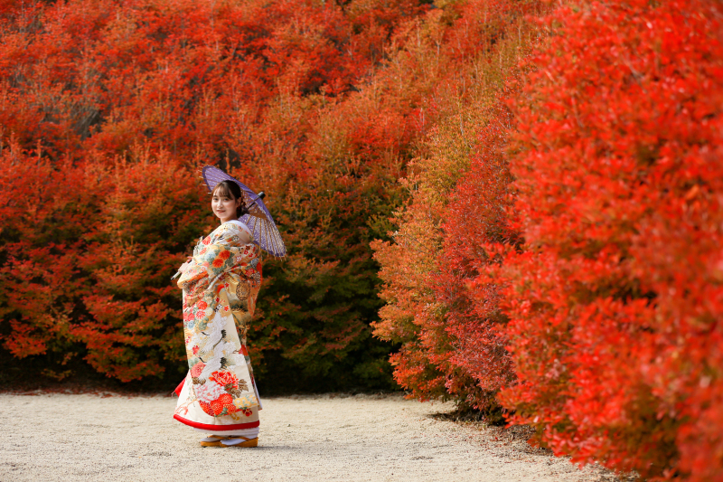 呑山観音寺で紅葉と