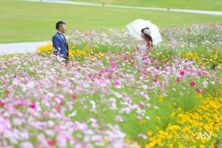 コスモスロケーションに行ってきました♪