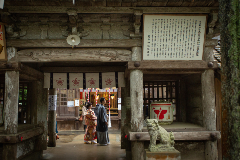 【糸島】櫻井神社に行ってきました！