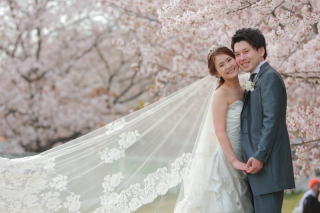 洋装で舞鶴の桜ロケへ