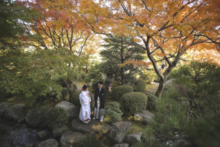 今年もきれいな紅葉でした