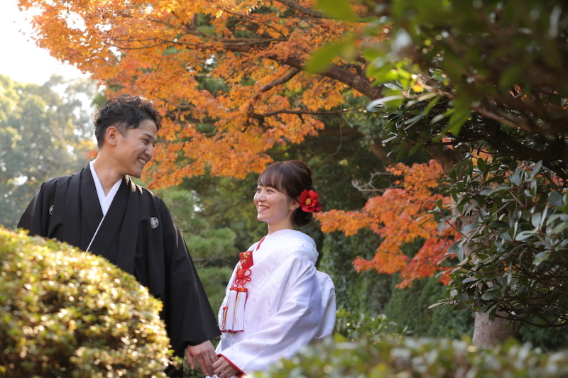 今年もきれいな紅葉でした