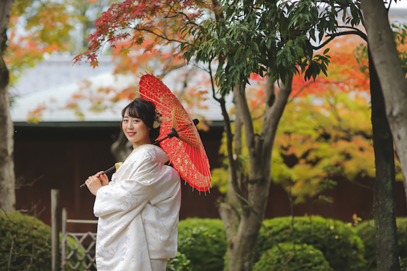 紅葉の時期がきました!