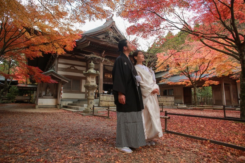 紅葉満喫ロケ