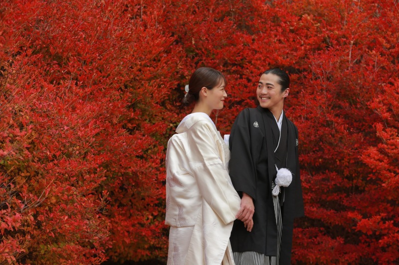紅葉満喫ロケ