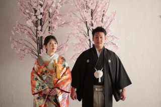 屋内スタジオで桜