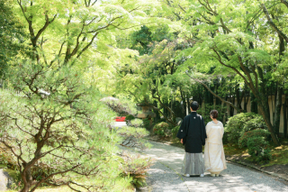 新緑ロケ 友泉亭