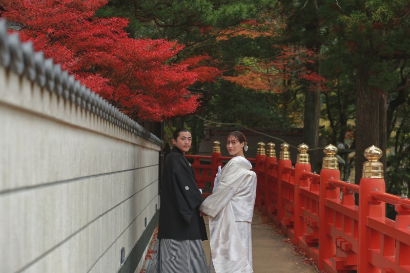 紅葉満喫ロケ