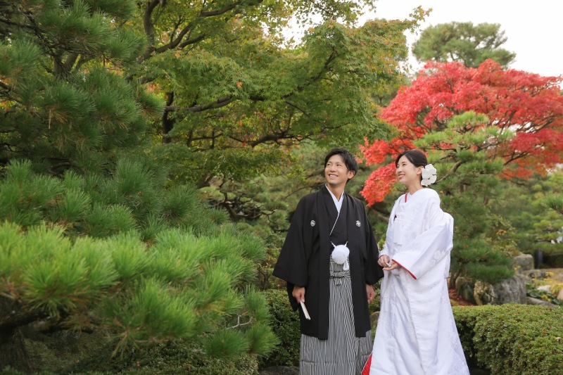 紅葉で