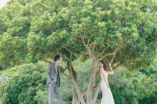 ひまわり1番乗り!?