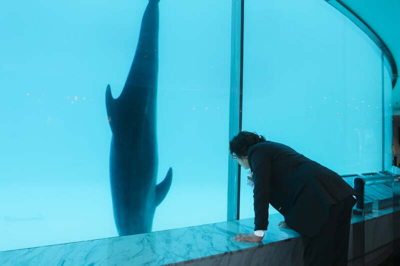 水族館でウエディングフォト