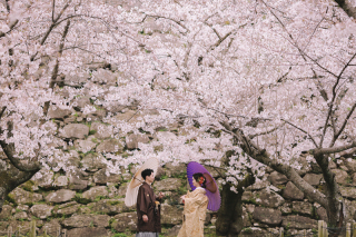 春のおすすめ！舞鶴公園