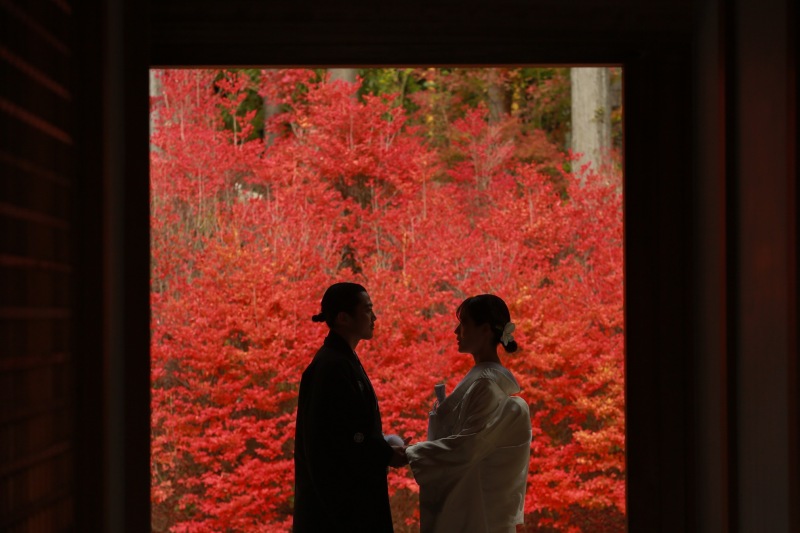 紅葉満喫ロケ