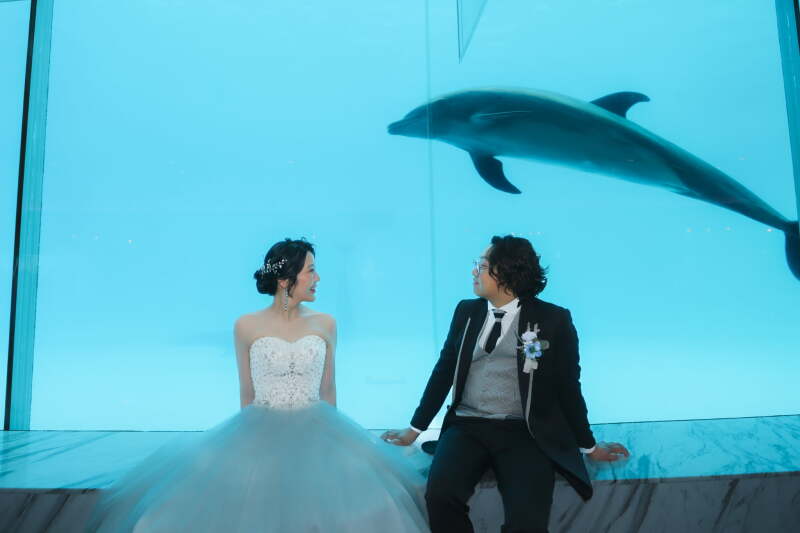 水族館でウエディングフォト