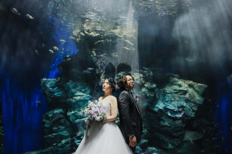 水族館でウエディングフォト