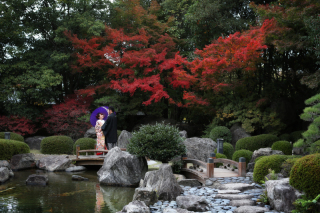 2016年紅葉ロケーション受付中☆