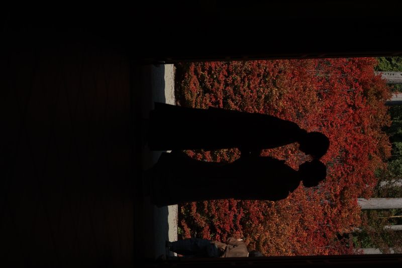 呑山観音寺で叶える一生モノの紅葉フォト⭐️