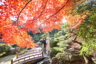 11月撮影 残りわずかです。