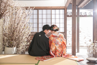 屋内庭園スタジオに桜が咲きました♡