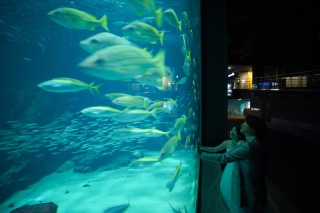 マリンワールドロケーション