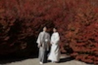 呑山観音寺で叶える一生モノの紅葉フォト⭐️