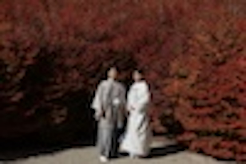 呑山観音寺で叶える一生モノの紅葉フォト⭐️