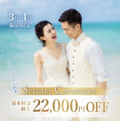 春のキャンペーン