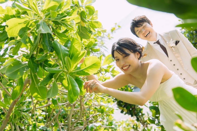 フクギ並木♪