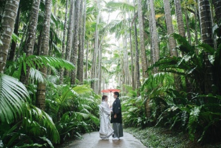 雨あがりの東南植物楽園☀︎