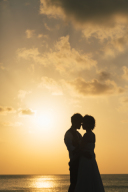 新春4大キャンペーン・*:.。. .。.:*・゜゚・*