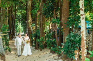 幸福を呼ぶ木♡