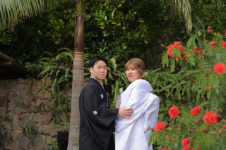 和・洋プレミアムプラン