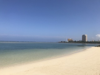 あけましておめでとうございます*･゜ﾟ･*