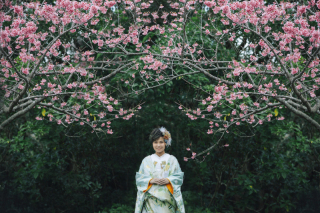 寒緋桜の季節です♪