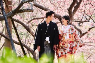 日本一早い春の訪れ寒緋桜とのウェディングフォト☆