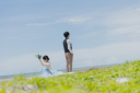 アラハビーチの青と緑 