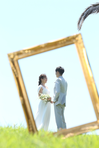 海やひまわりロケーション撮影、受付中です