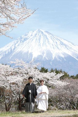 桜ロケーション撮影!まだまだ、ご予約受付しています ♪