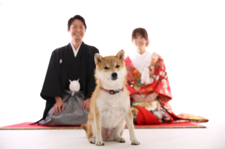 ペットと一緒に撮影したい!